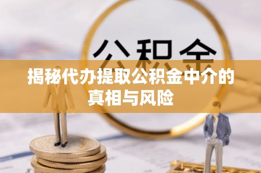 漯河揭秘代办提取公积金中介的真相与风险