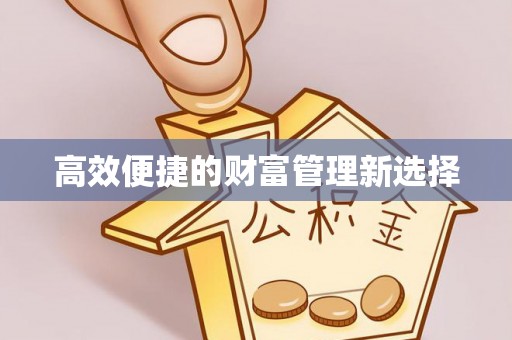 漯河高效便捷的财富管理新选择
